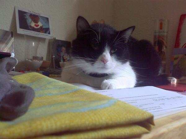 Machst du das auch alles richtig?