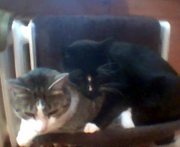 Maiki &amp; Felix - da muß man doch auch zu zweit rein können