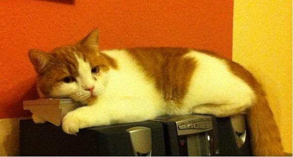 mal ein etwas anderer schlafplatz, und meine uhr war kopfkissen.