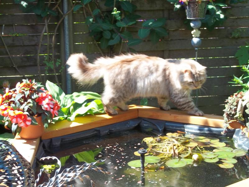 Mal schauen ob die Fischies noch alle beisammen sind !