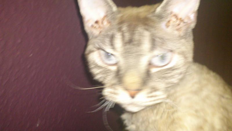 Mama Luna.... sie mag es gar nicht fotografiert zu werden...