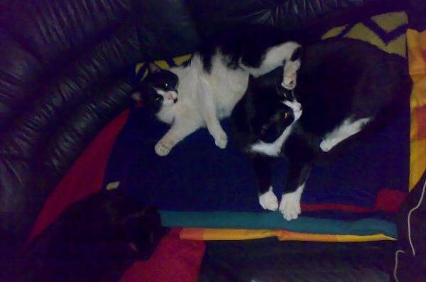 Mama und ihre beiden Jungs