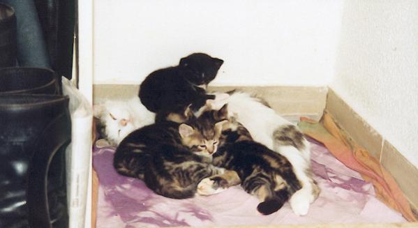 man beachte Gizmo oben - schon immer der Boss gewesen ;-)