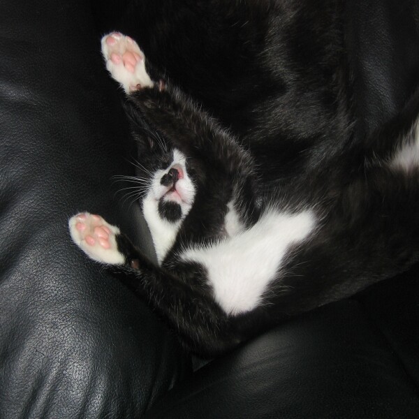 man das sie noch keine Nackenschmerzen hat *grins*