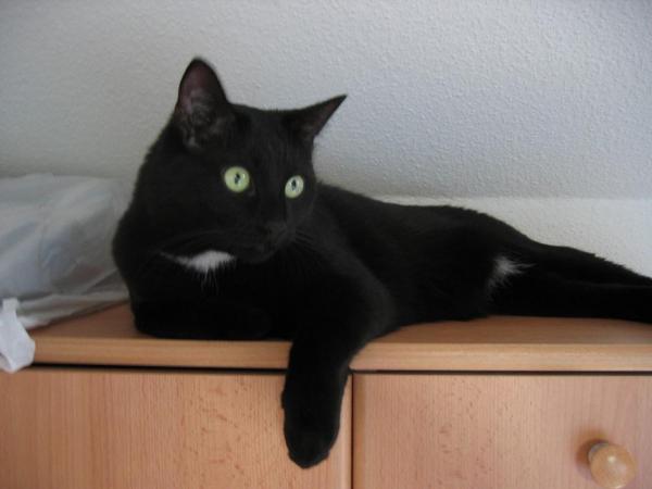 Man ist mir langweilig