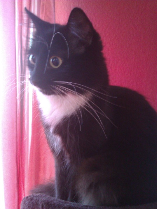 Man kann förmlich riechen wie frech sie ist