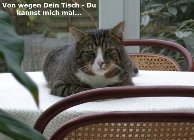 Man muss auch zeigen, wer hier der Boss ist.