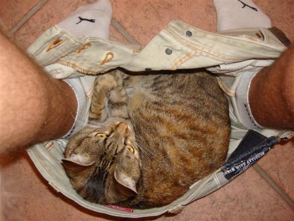 Man"n" kann nicht mal in Ruhe auf Toilette gehen.