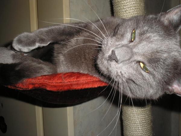 Mann bin ich cool ich halts nicht aus *lach*