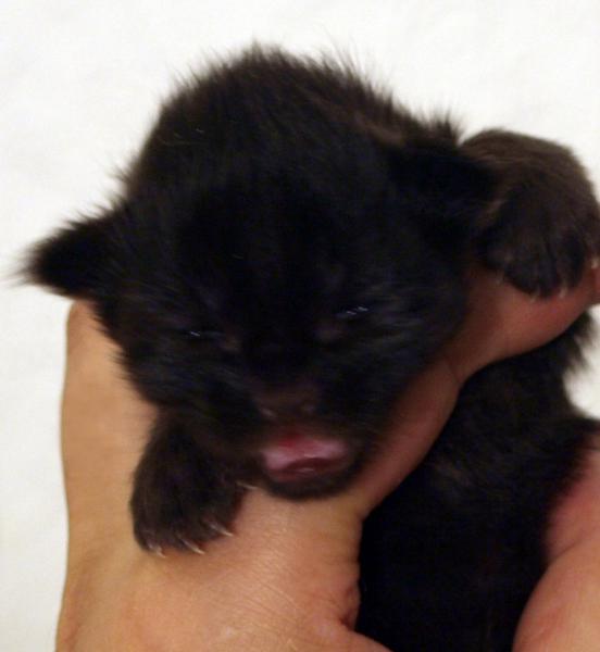 Mathilda am 14.12.08