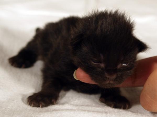 Mathilda am 15.12.08