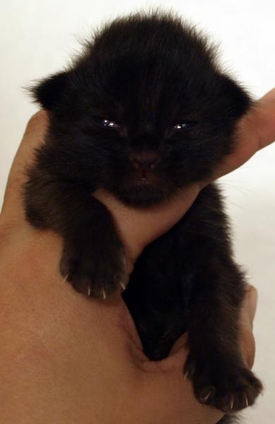 Mathilda am 15.12.08