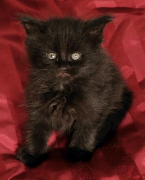 Mathilda am 19.01.2009