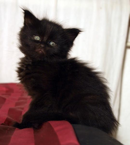 Mathilda am 19.01.2009