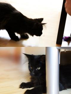 Mathilda beim Spielen.