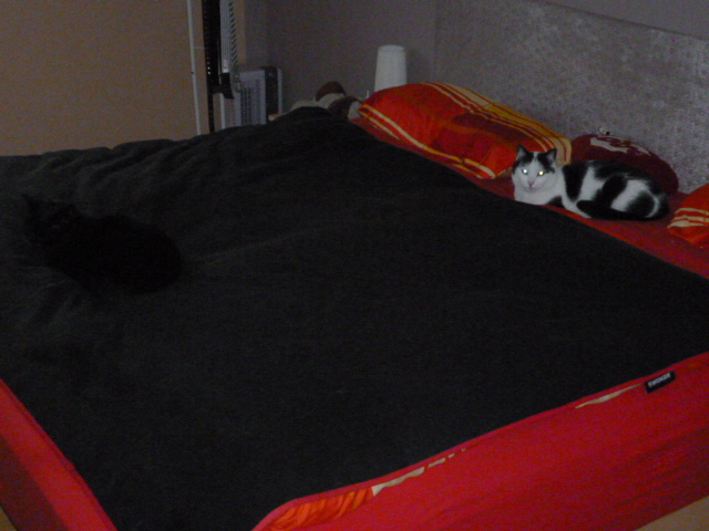 Max ist da... Aber wo ist der DJ?