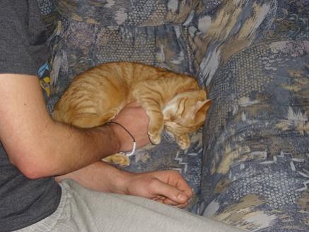 maya in ihrem sessel