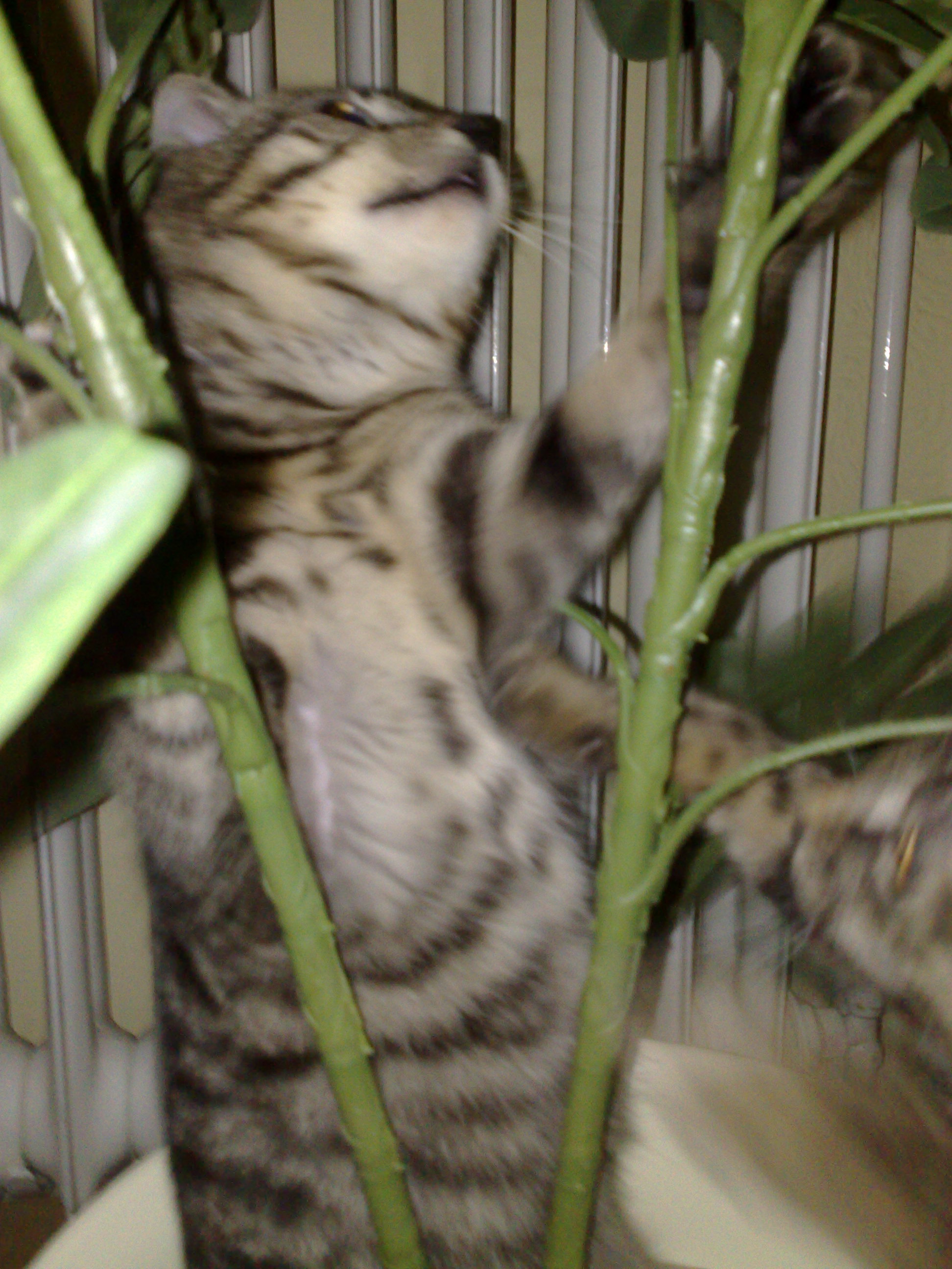 Maya und Thommy 10..01.2014 011