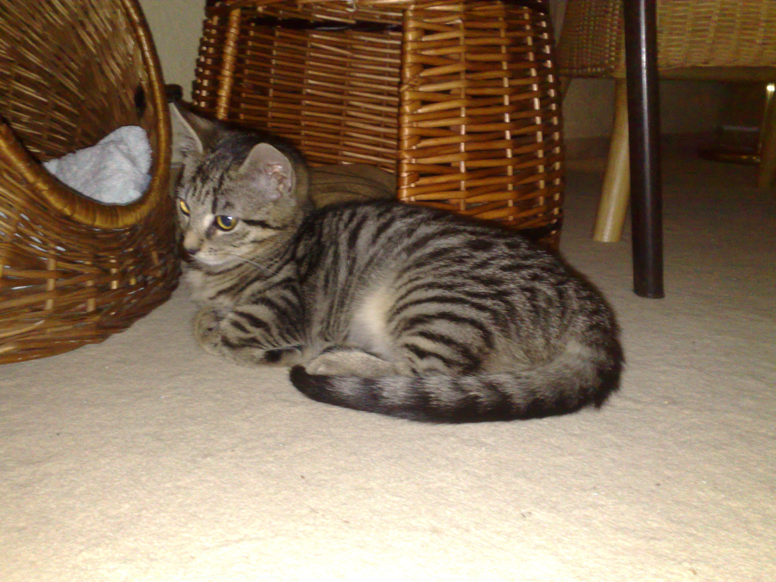 Maya und Thommy 10..01.2014 014