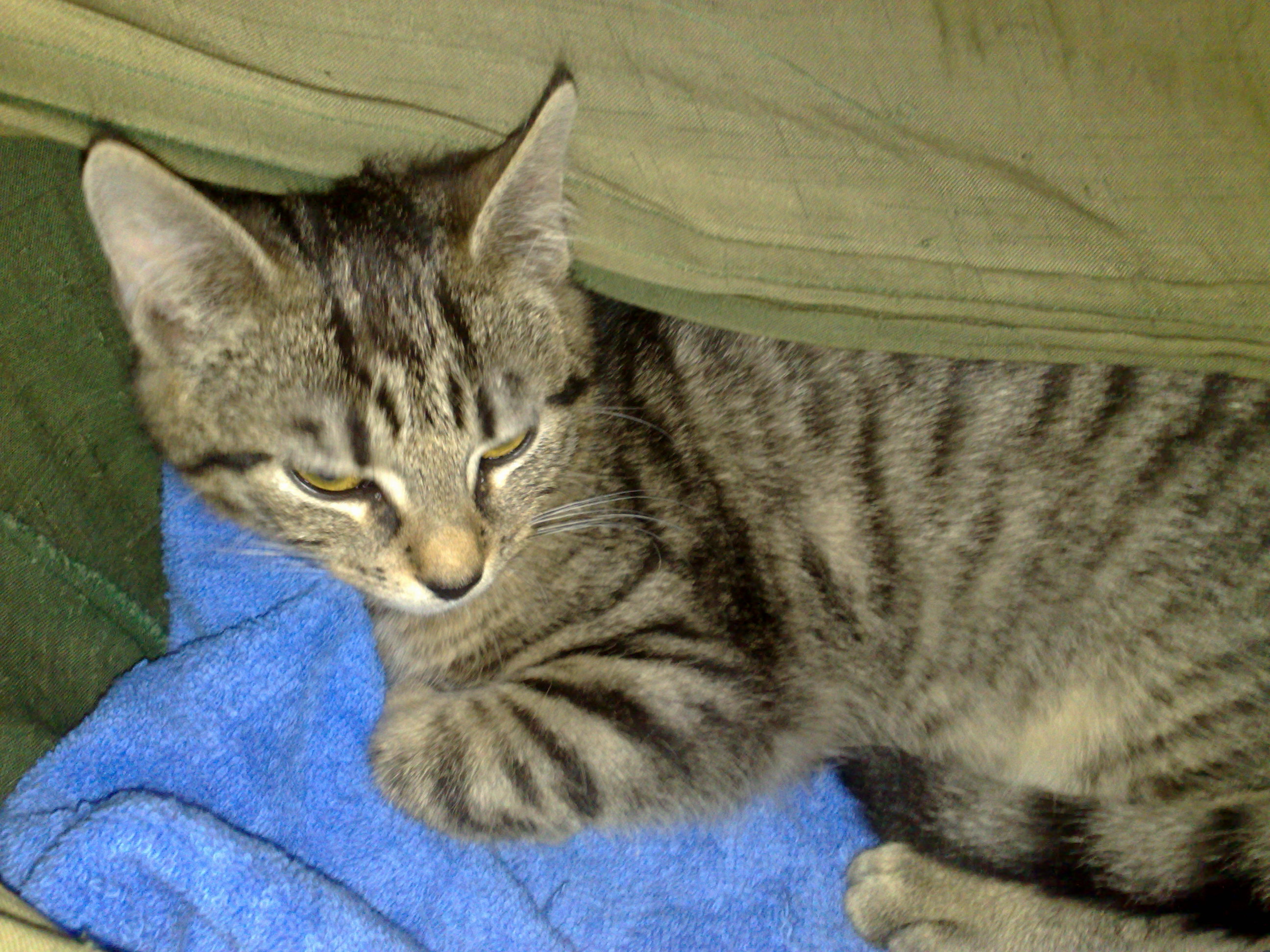 Maya und Thommy 10..01.2014 015