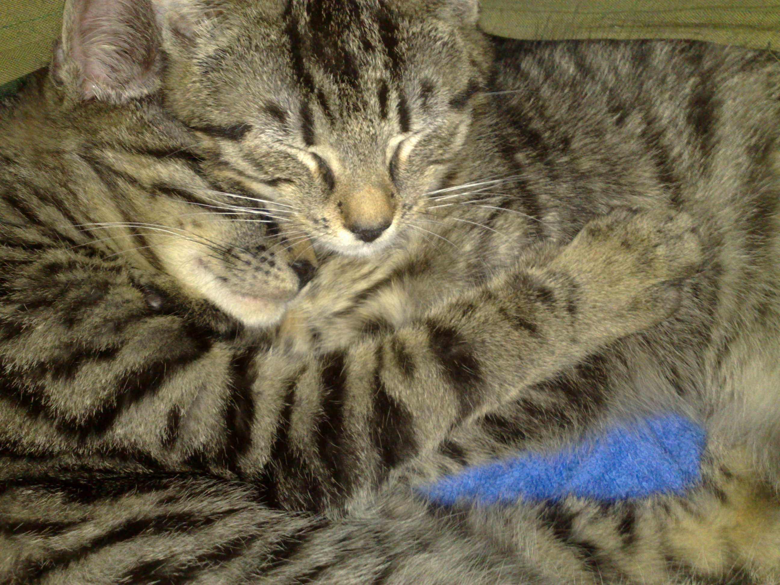 Maya und Thommy 31.01.2014 017