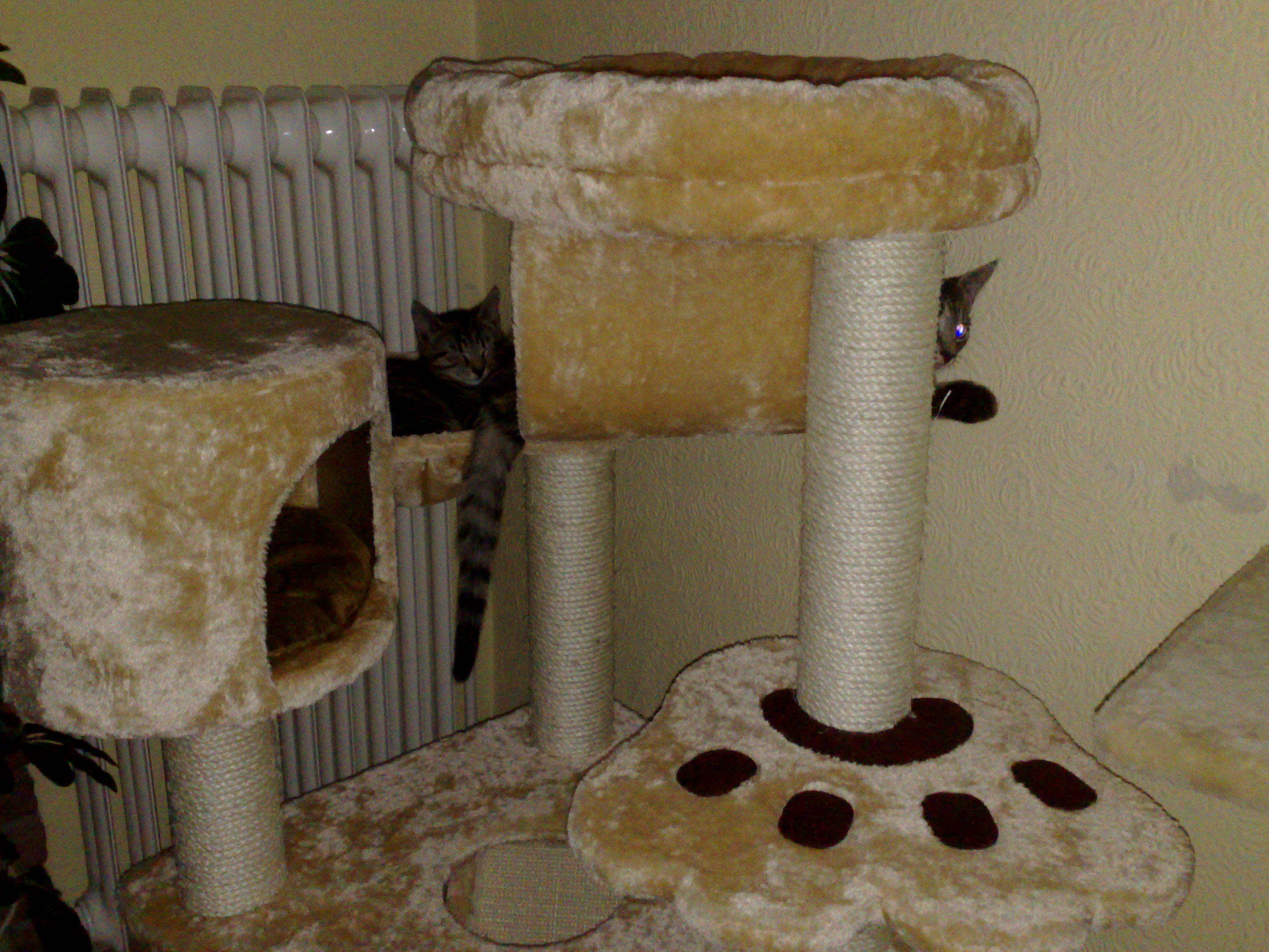 Maya und Thommy 31.01.2014 022