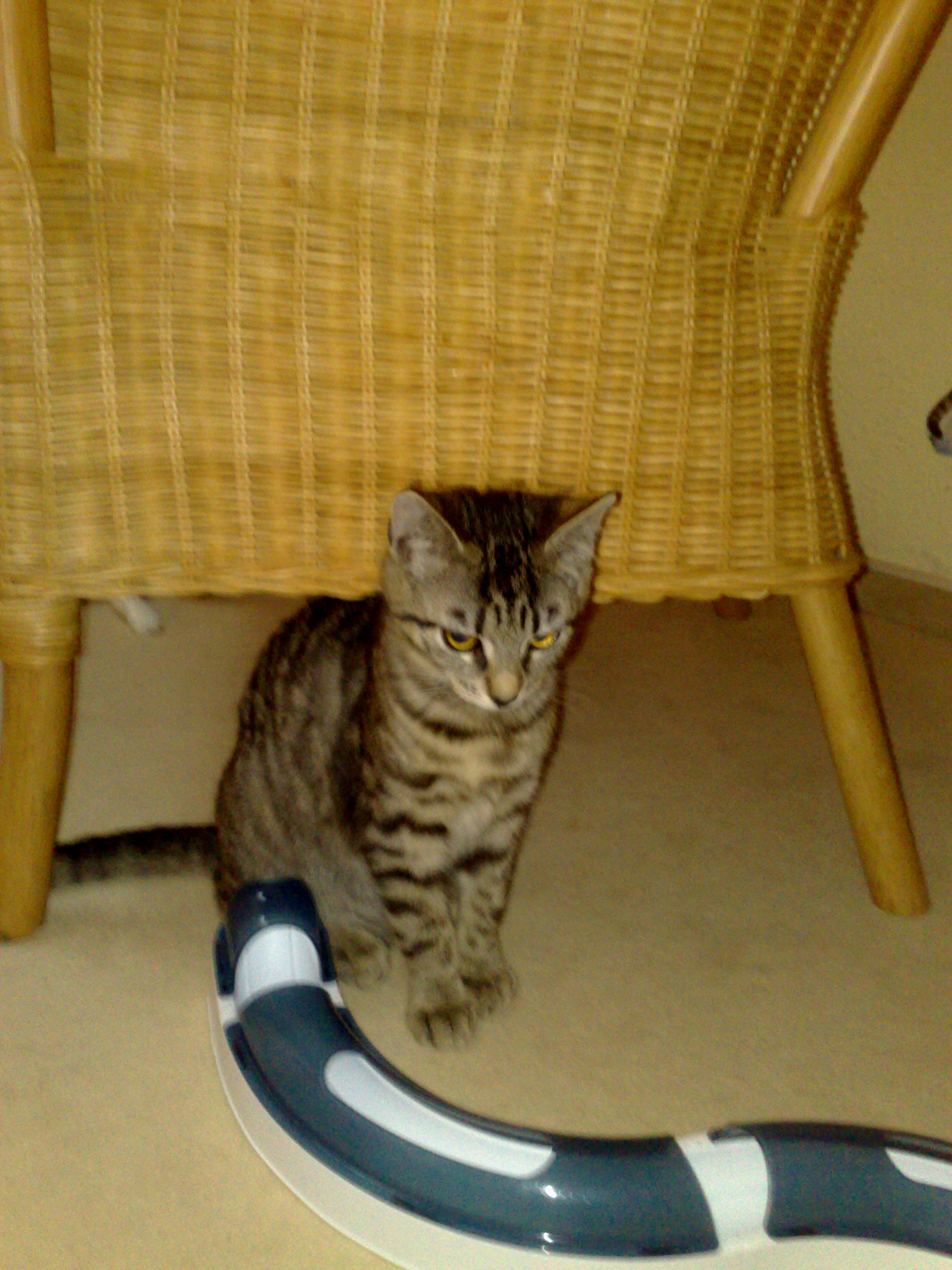 Maya und Thommy 31.01.2014 036