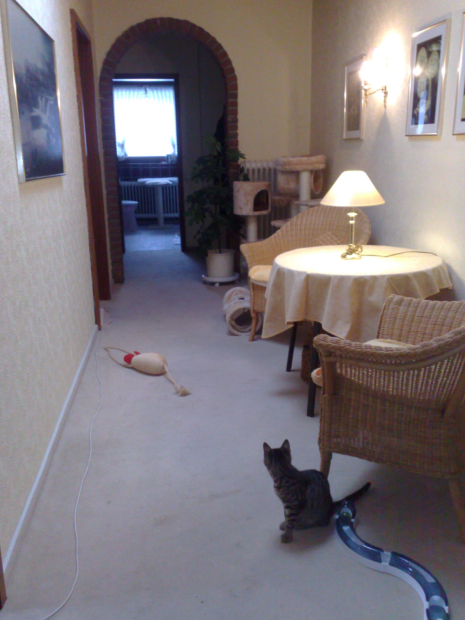 Maya und Thommy 31.01.2014 039