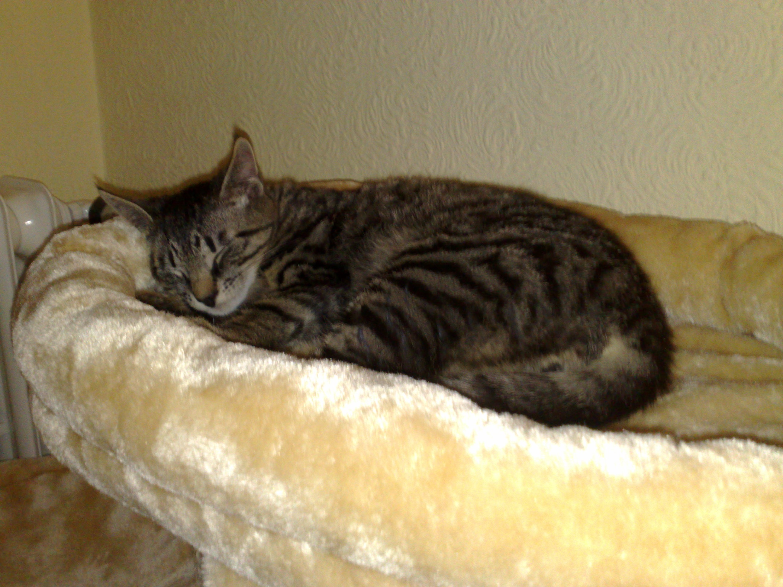 Maya und Thommy 31.01.2014 041