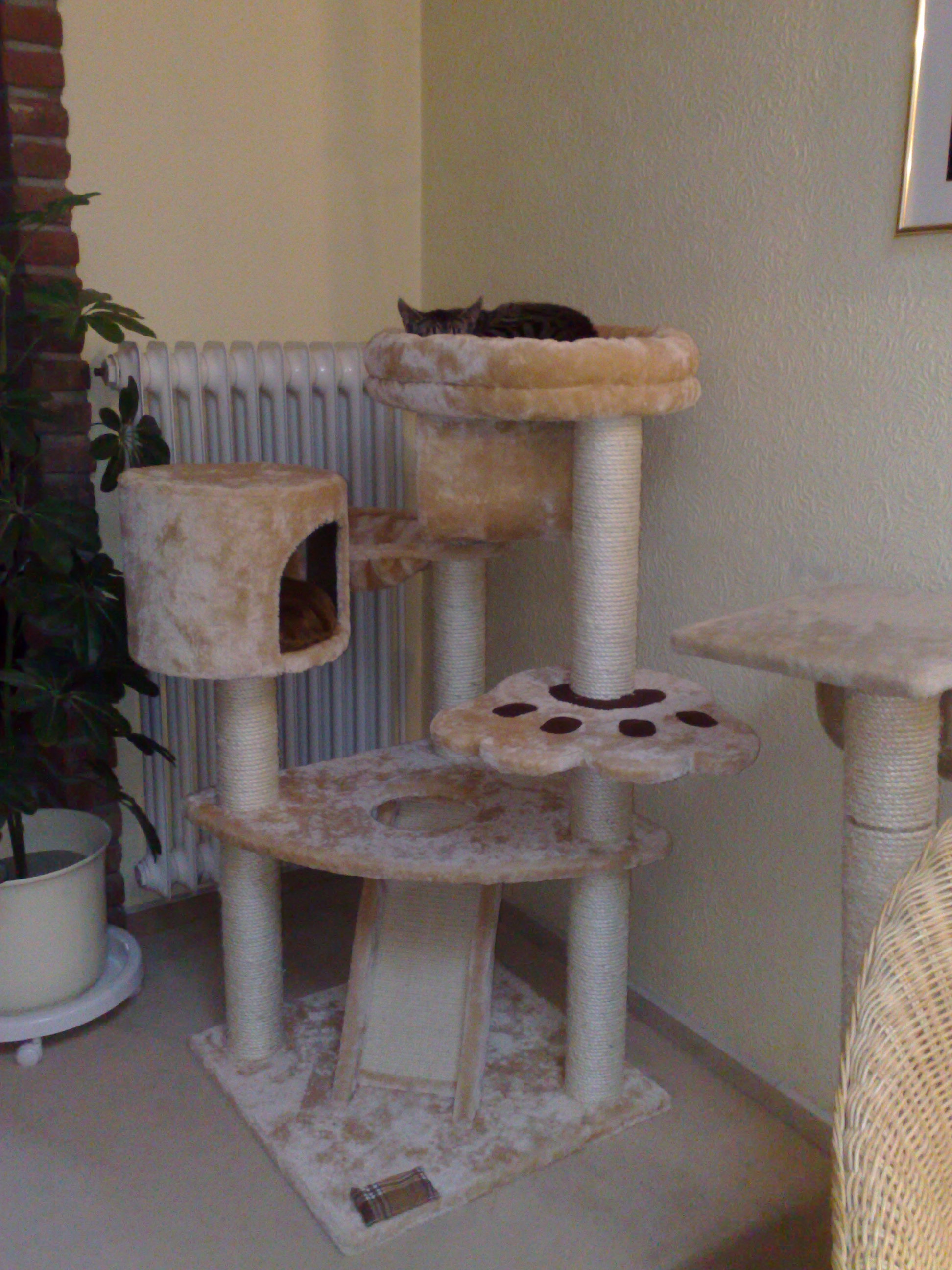 Maya und Thommy 31.01.2014 042