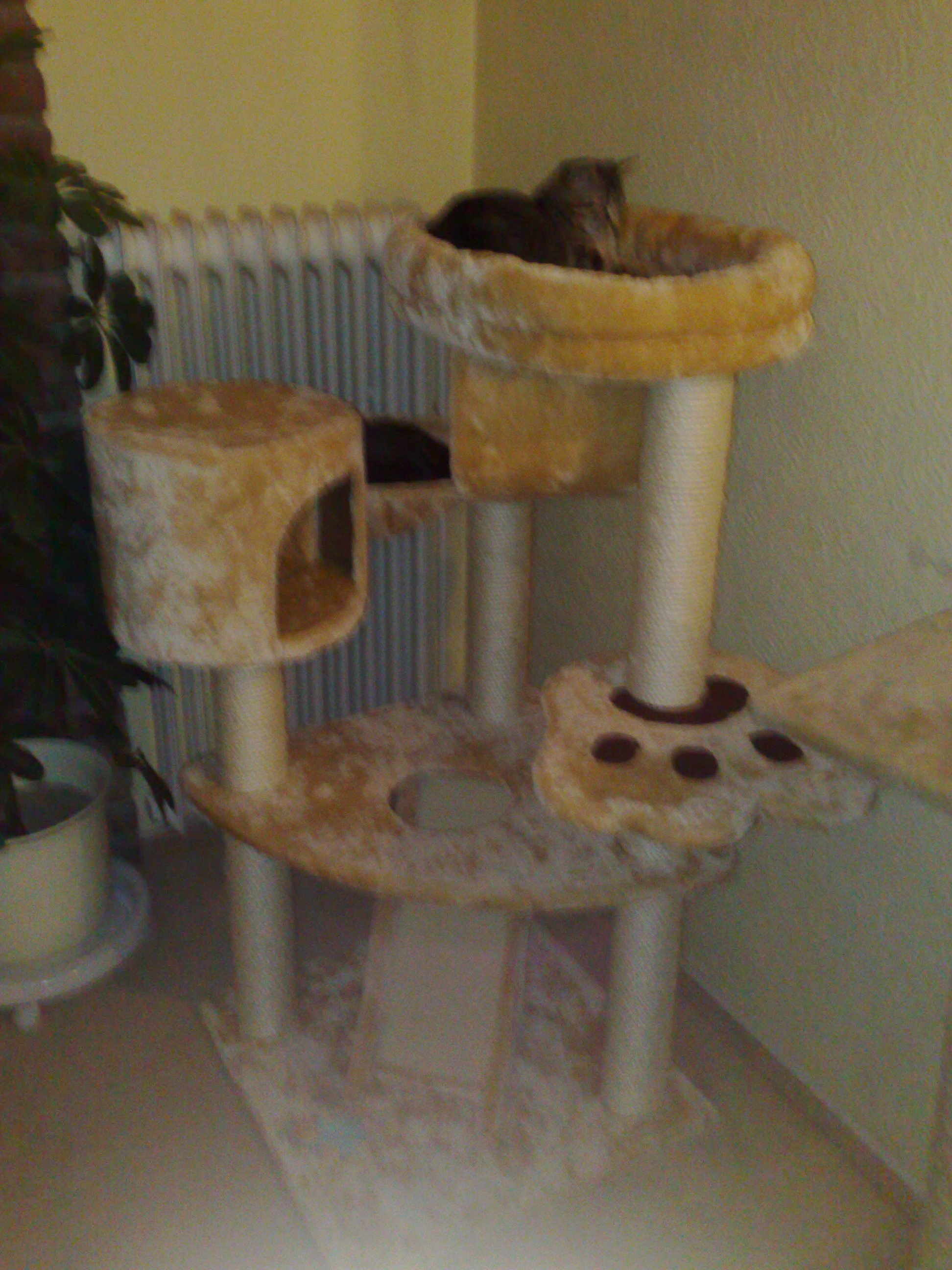 Maya und Thommy 31.01.2014 060