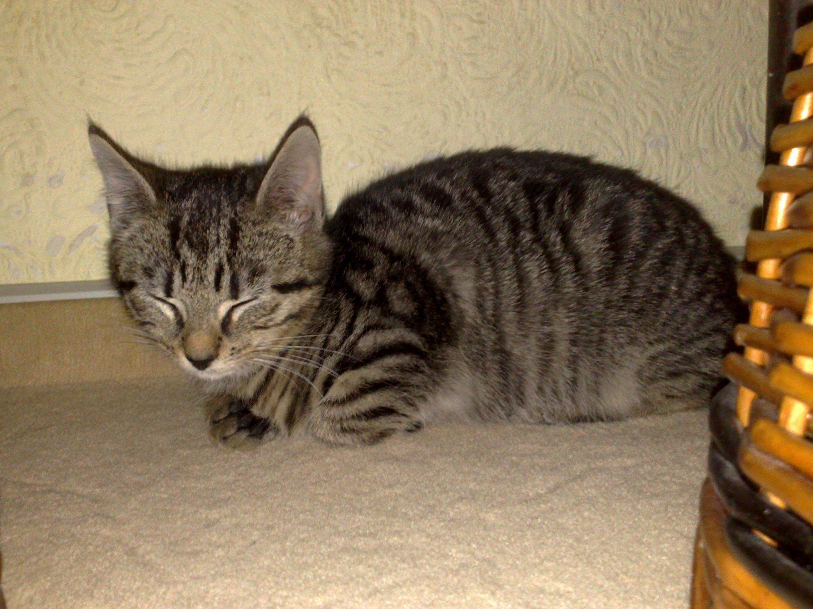 Maya und Thommy bis 09.01.2014 001