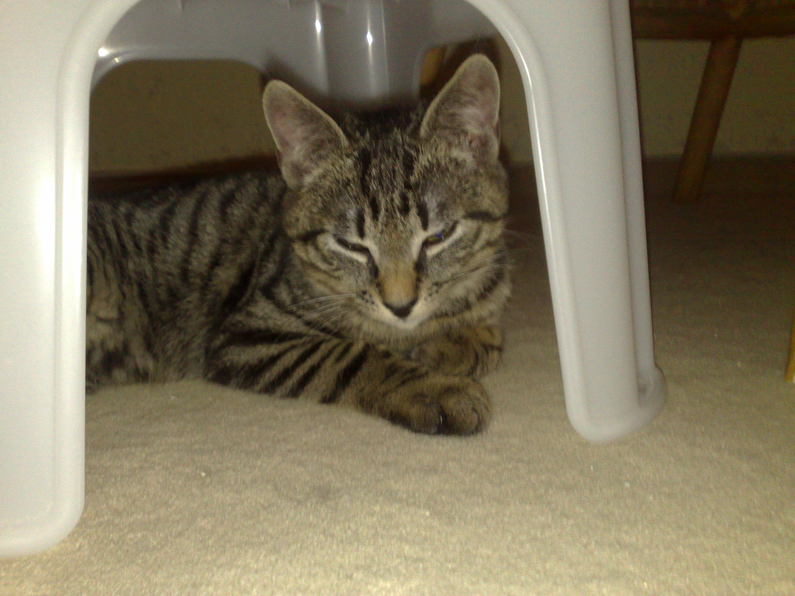 Maya und Thommy bis 09.01.2014 004