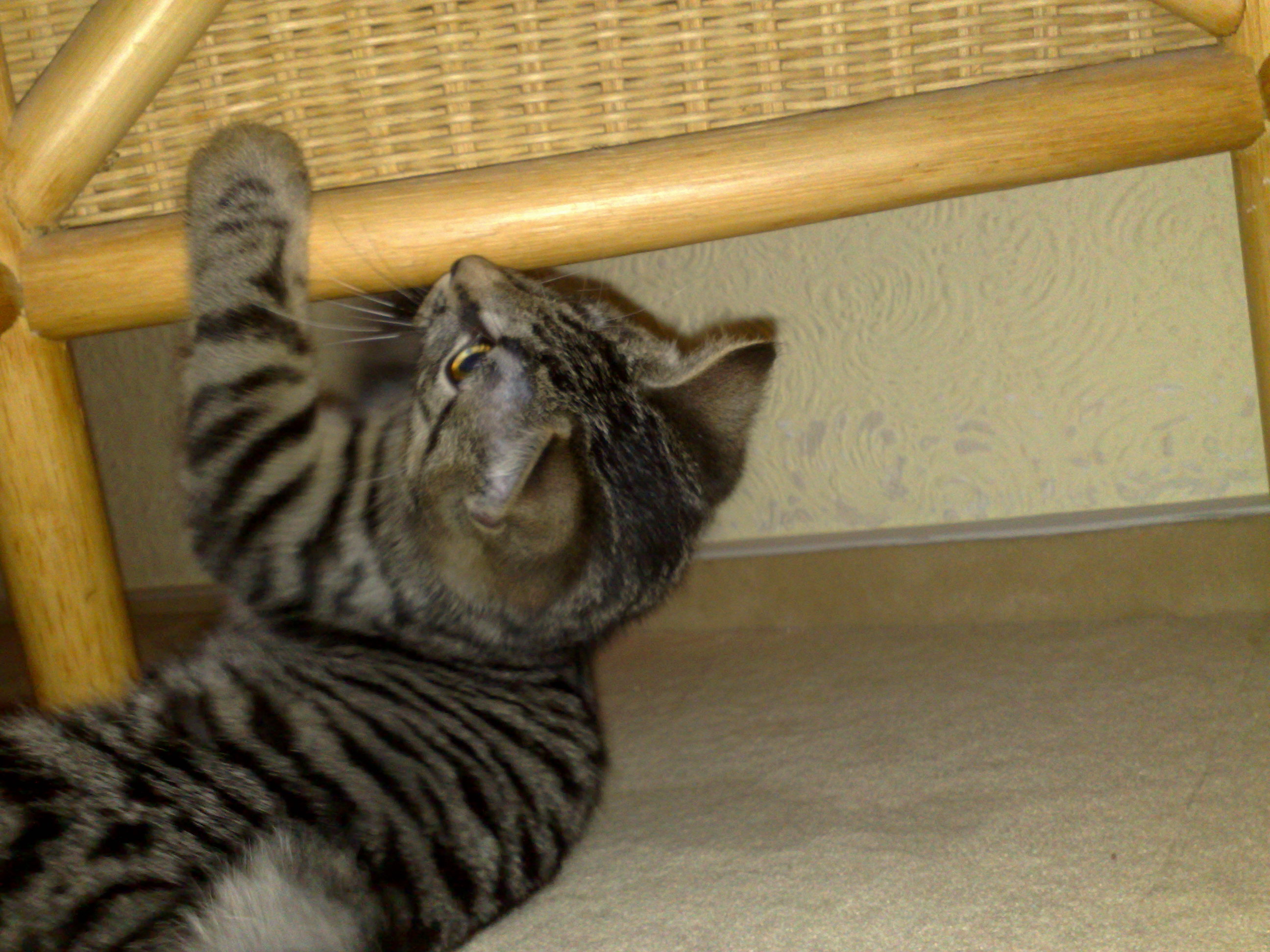 Maya und Thommy bis 09.01.2014 006