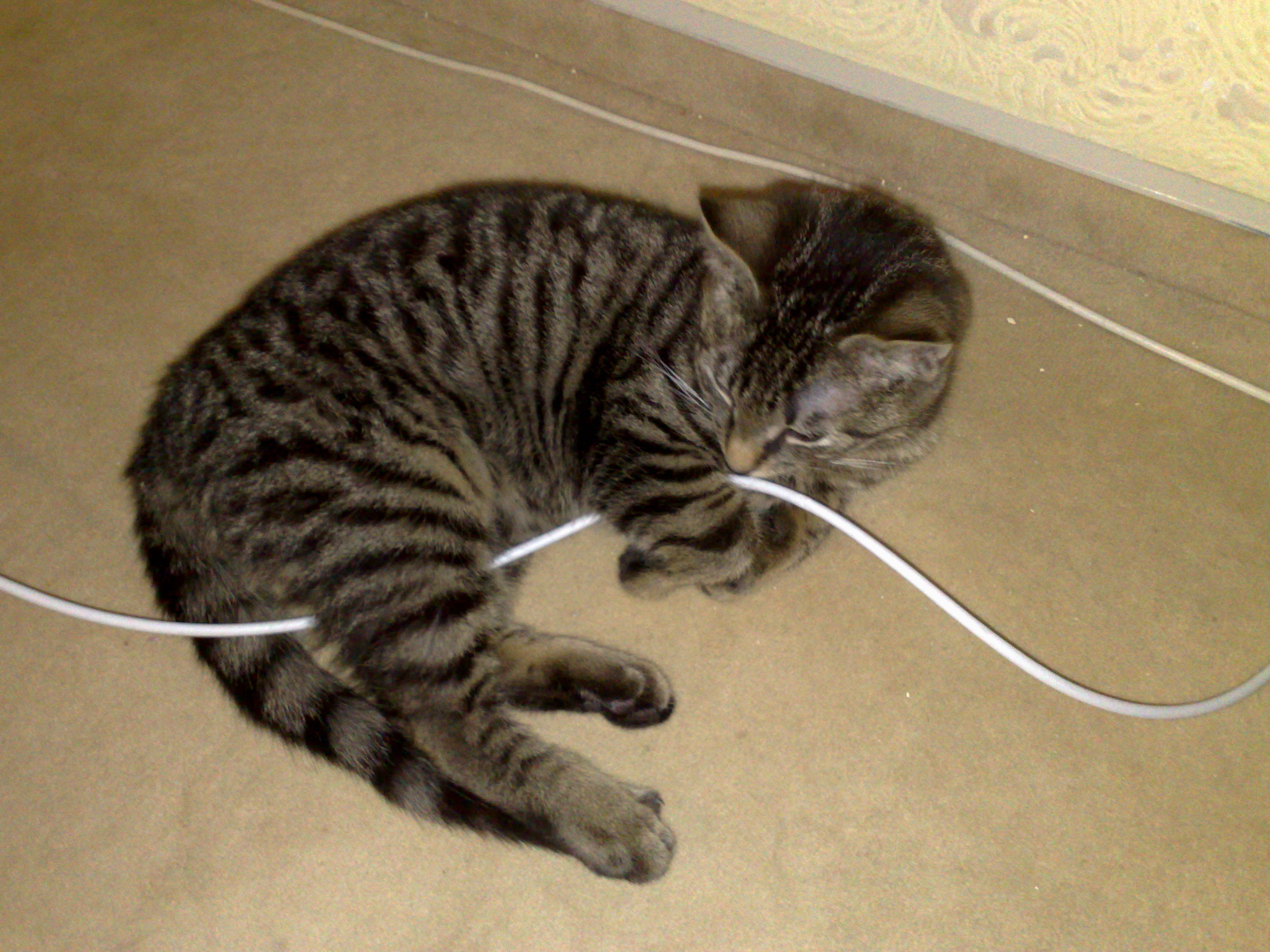 Maya und Thommy bis 09.01.2014 014