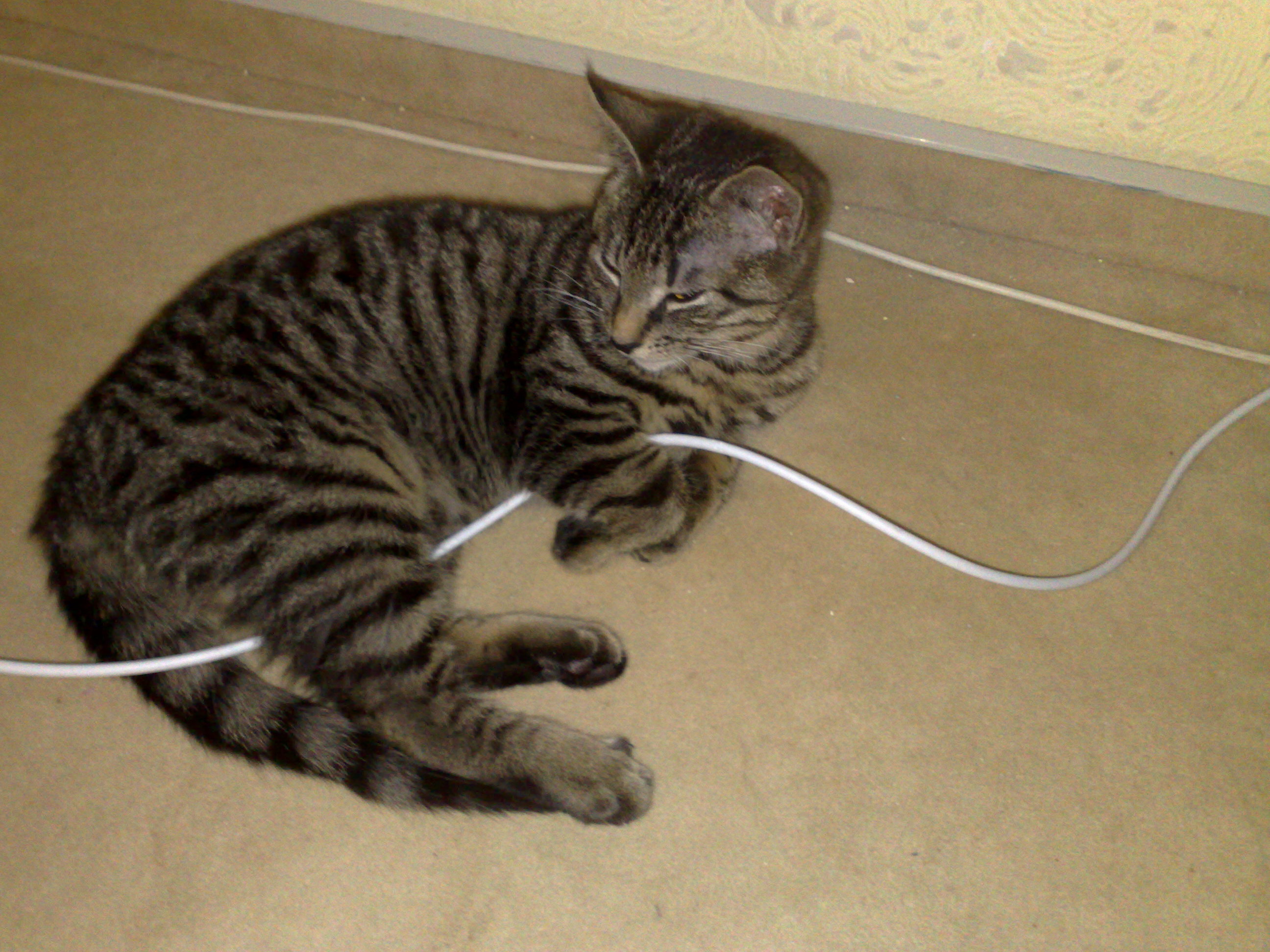 Maya und Thommy bis 09.01.2014 015