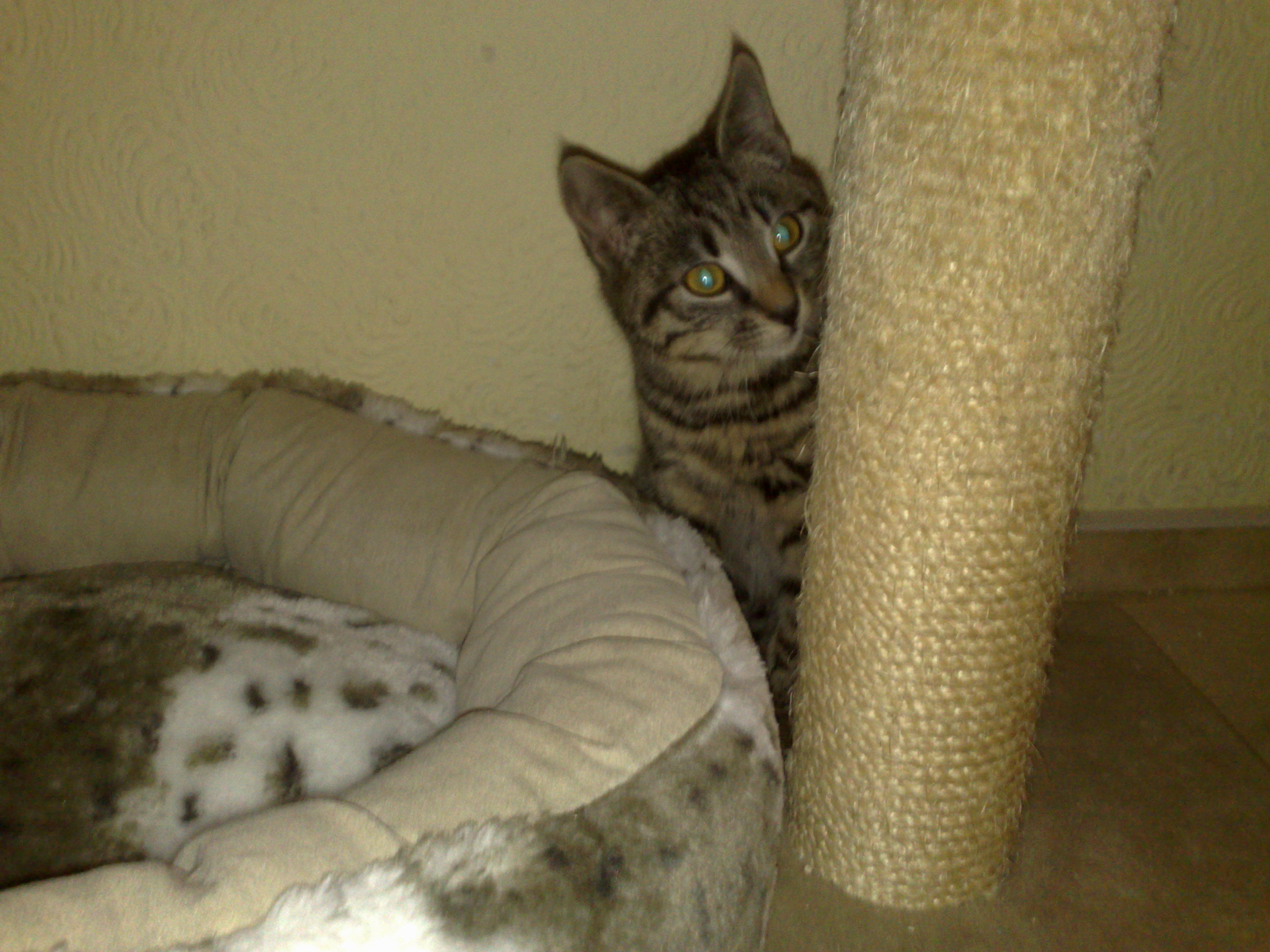 Maya und Thommy bis 30.Dez.2013 016