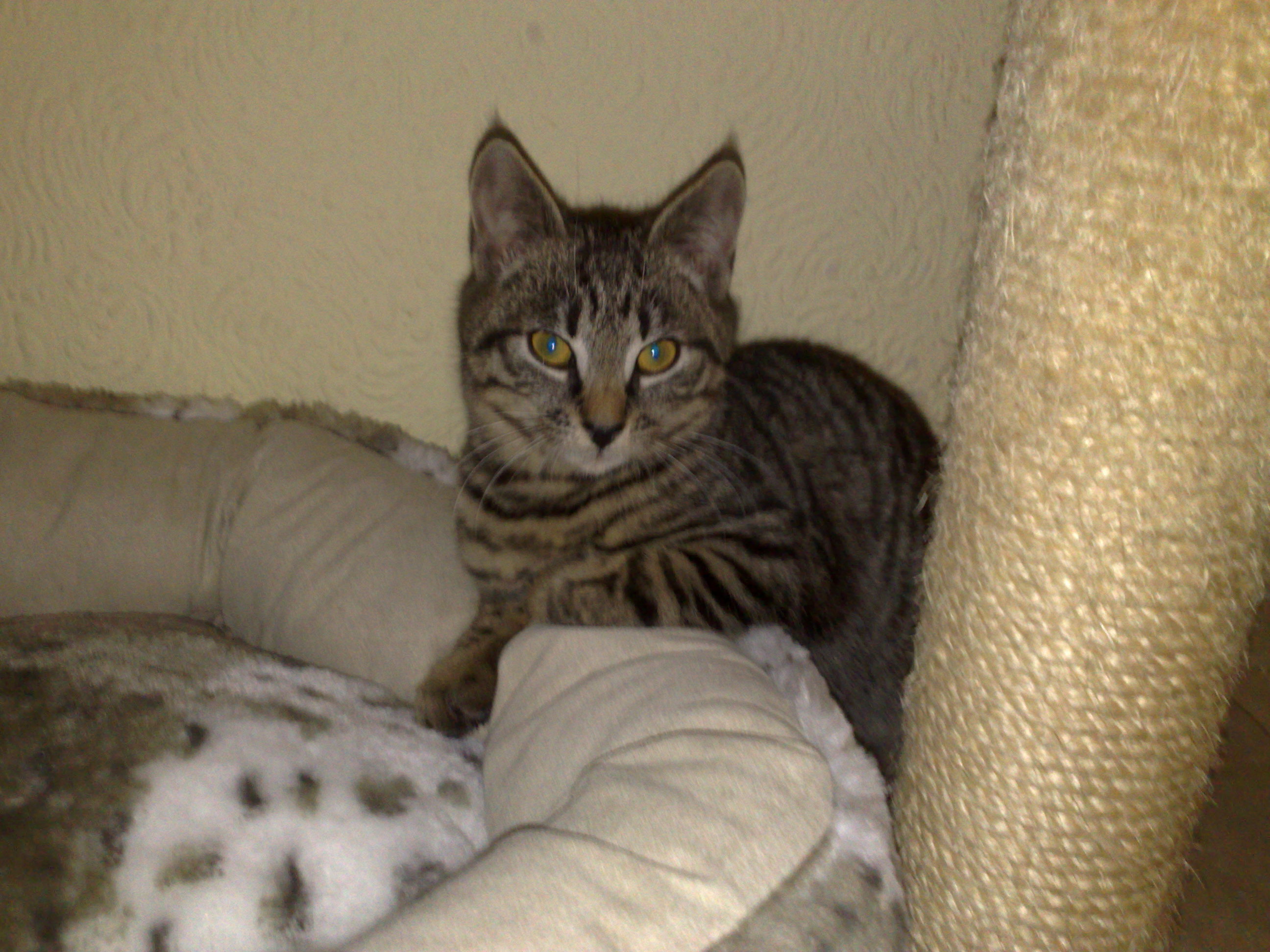 Maya und Thommy bis 30.Dez.2013 017