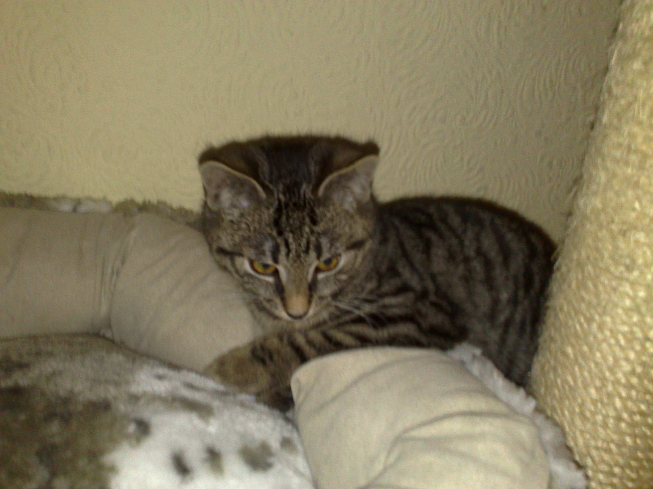 Maya und Thommy bis 30.Dez.2013 020