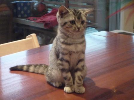 Maya unsere jüngste