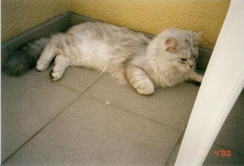 med gallery 11765 1810 309946