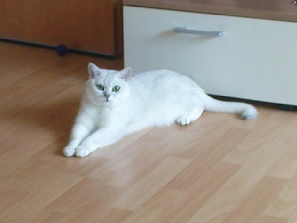 Meily in einer schicken Pose *g*