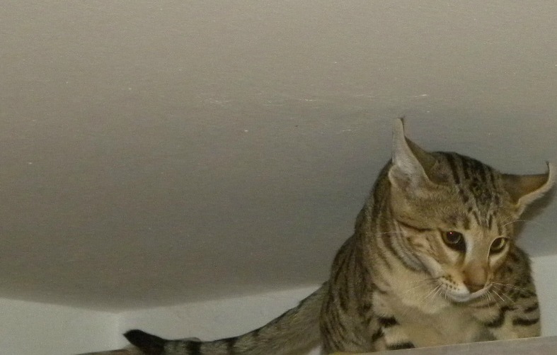 Mein Baby mit 7 Monaten