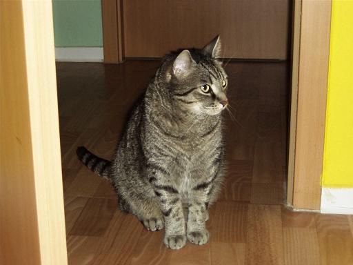 Mein Dicker - da war die Welt noch in Ordnung