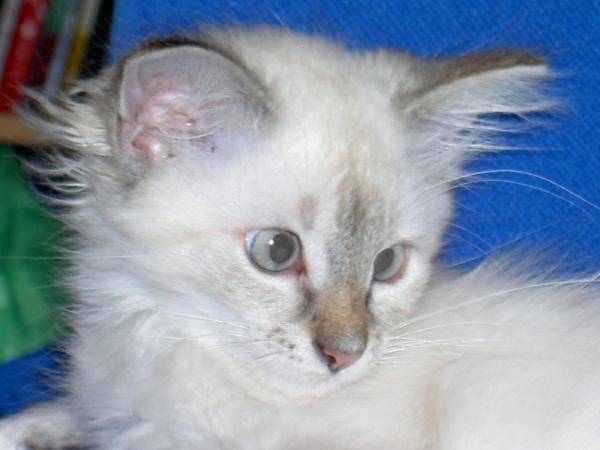 Mein ganzer Stolz ...