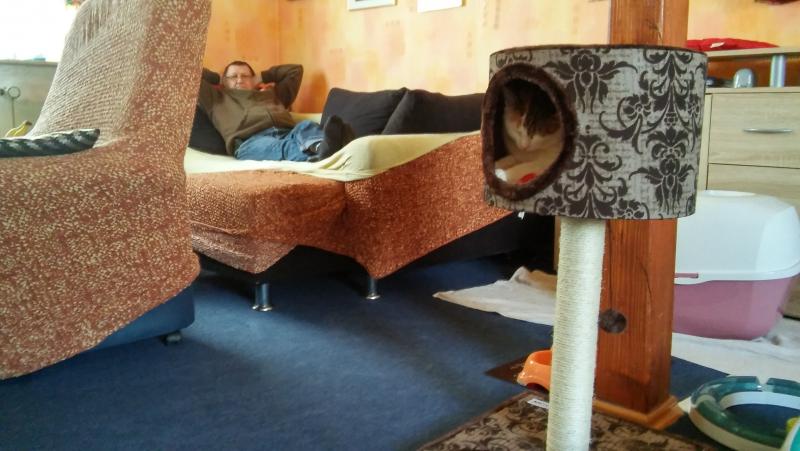 Mein Kratzbaum mit Höhle.