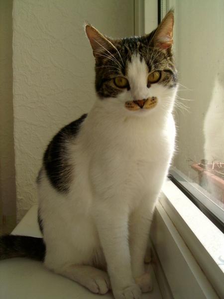 Mein Lieblingbild von Rieke. Da ist sie sieben Monate alt.