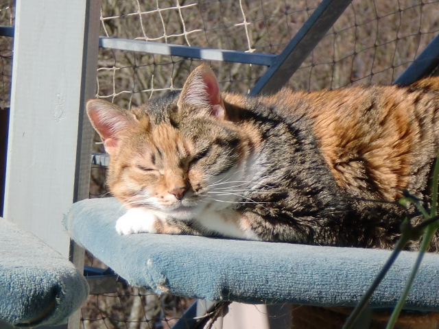 Mein Lieblingplatz in der Sonne, auch bei 36Grad... Summerplace!