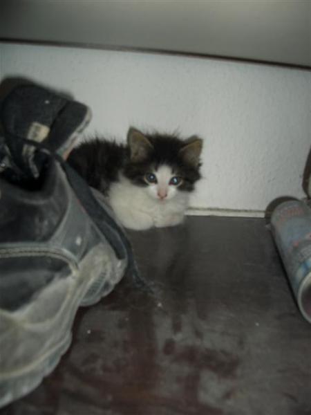 mein lieblingsversteck