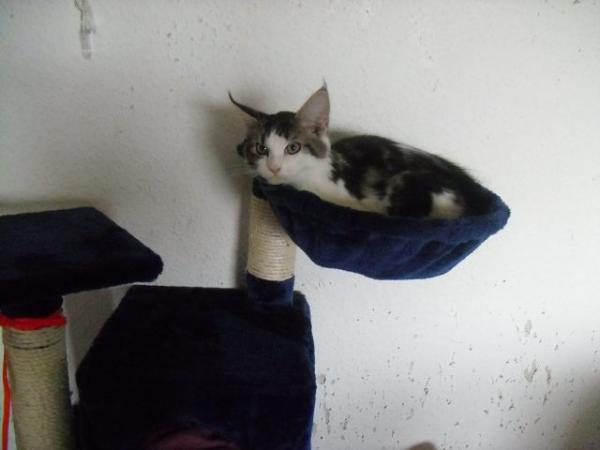 Mein neuer Schlafplatz (davon gibt es sogar gleich zwei stück :D )